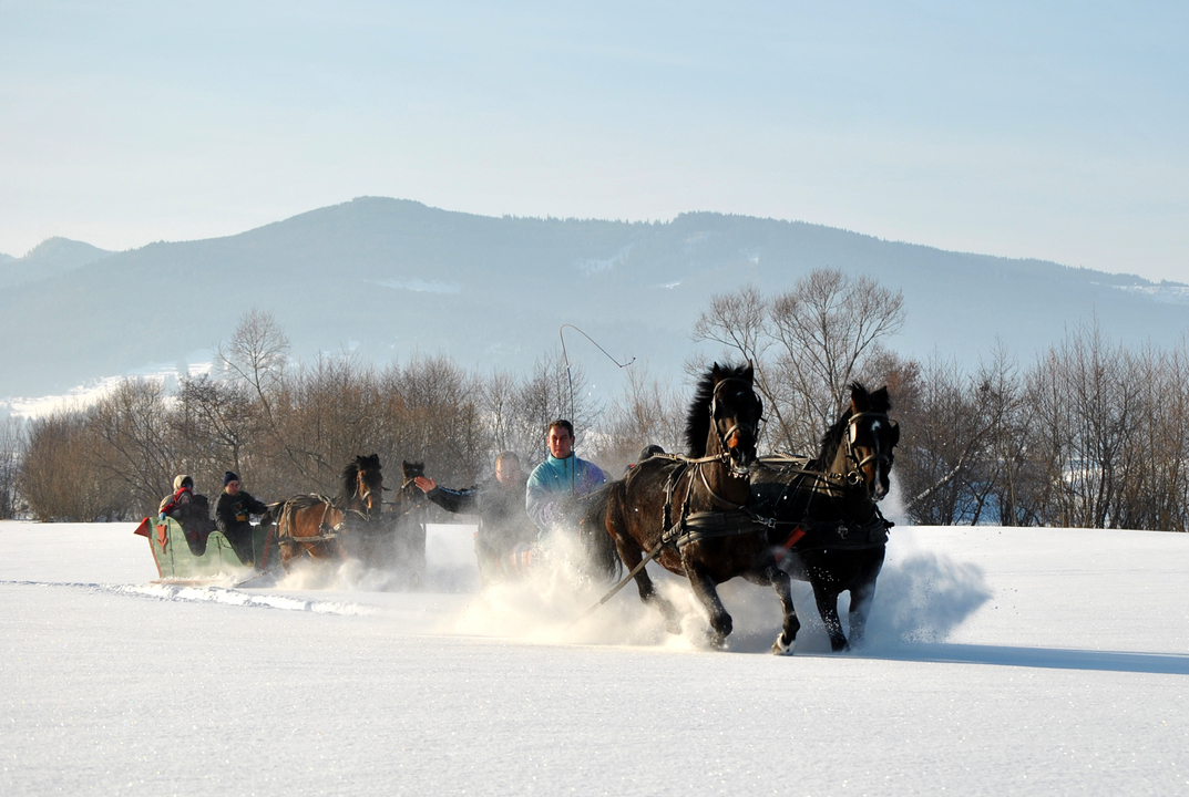 Horse-cart riding and sleigh trips – Tușnadu Nou