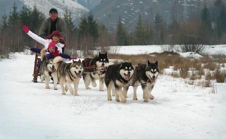 Sledding trip with the Lonely Stone Kennel