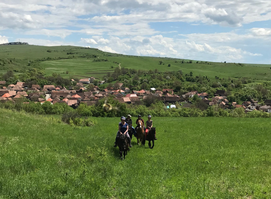 Transylvanian Equestrian Journeys