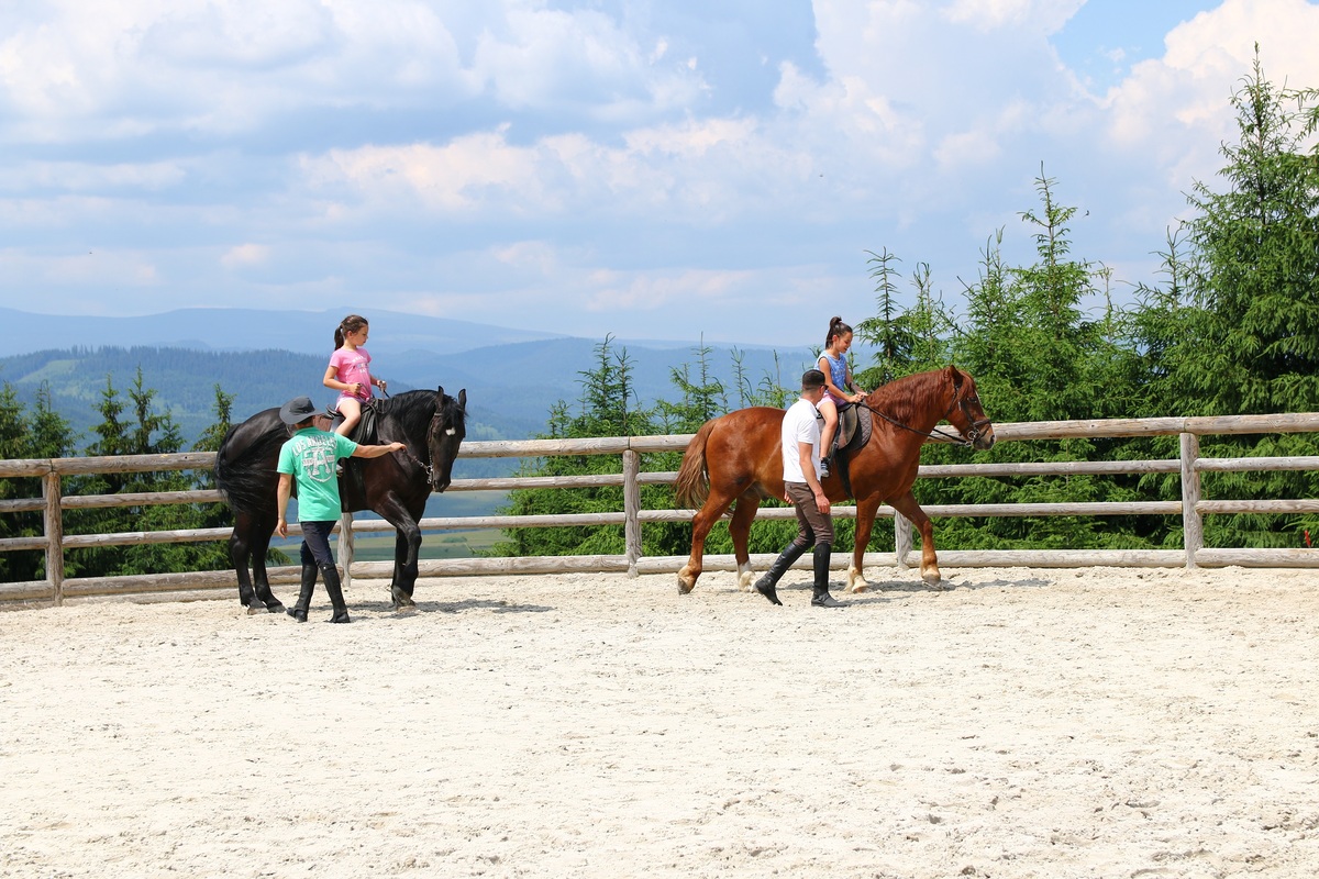 Equestrian Center Toplița